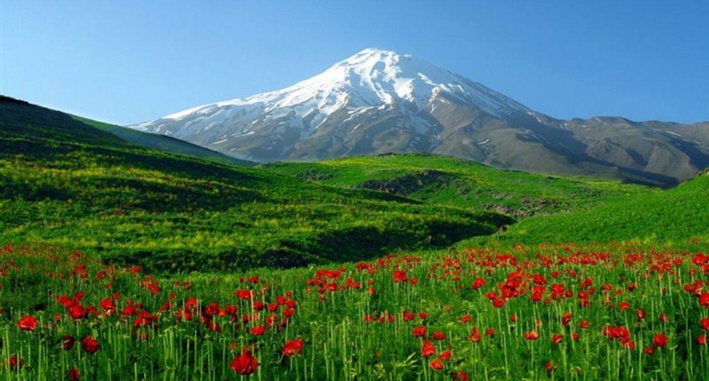 دشت شقایق پلور